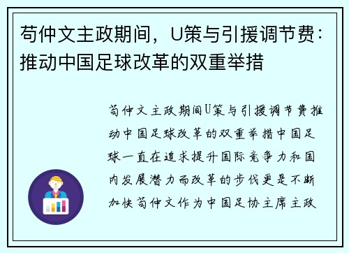 苟仲文主政期间，U策与引援调节费：推动中国足球改革的双重举措